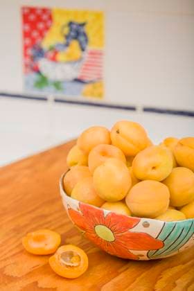 Bowl of apricots in handmade pottery bowl, to be prepped for dehydrating. Select fresh and fully ripened fruits. Immature produce lacks flavor and color. (PR)  Copyright: xJanetxHortonx x LI11 JHO0042