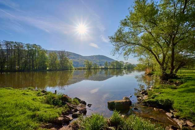 Flusslandschaft, Baum, Ufer, Sonne, Wolken, Frühling, Laudenbach, Landkreis Miltenberg, Untermain, Main, Spessart, Odenwald, Bayern, Deutschland, Europa *** River landscape, Tree, Shore, Sun, Clouds, Spring, Laudenbach, County Miltenberg, Lower Main, Main, Spessart, Odenwald, Bavaria, Germany, Europe Copyright: imageBROKER/RaimundxLinke ibxrde09527970.jpg