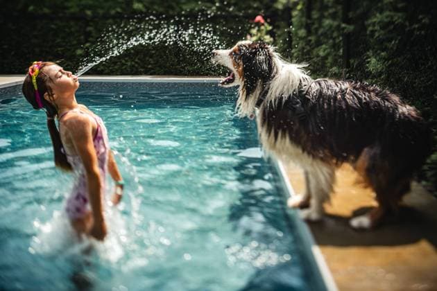 girl splashing her dog at the pool on a hot summer day Québec City, Quebec, Canada CR_TYTZ230802-1225933-01 ,model released, Symbolfoto