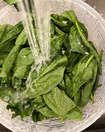 Spinach from the farmer s market being washed in the kitchen sink New York, New York, United States R_NHDH230726-1220463-01