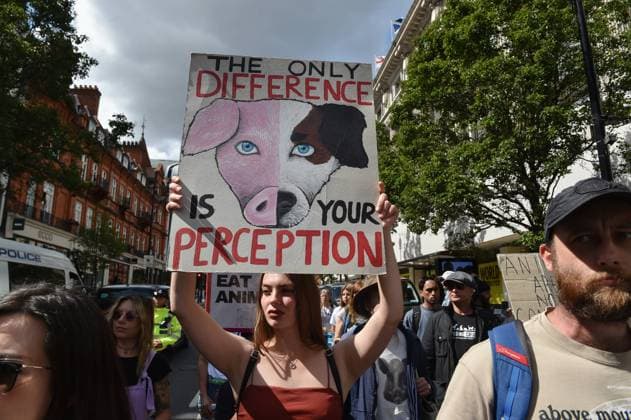 News Bilder des Tages August 26, 2023, London, England, United Kingdom: Protester holds a placard during the demonstration. Animal rights groups from around the country marched from Marble Arch to Parliament Square in support of animal welfare. London United Kingdom - ZUMAk172 20230826_zip_k172_010 Copyright: xThomasxKrychx