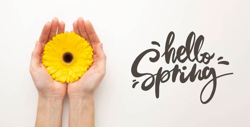  Hallo Frühling Hand mit Blume *** Hello Spring Hand with Flower Copyright: imageBROKER/OleksandrxLatkun ibxole09488455.jpg