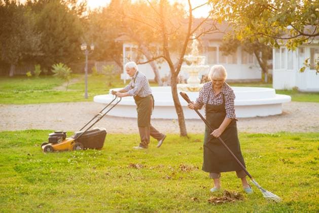 Couple of old gardeners working. Couple of old gardeners working. People in sunny garden. Buy gardening tools and equipment. ,model released, Symbolfoto Copyright: xZoonar.com x 18568952 ,model released, Symbolfoto ,property released