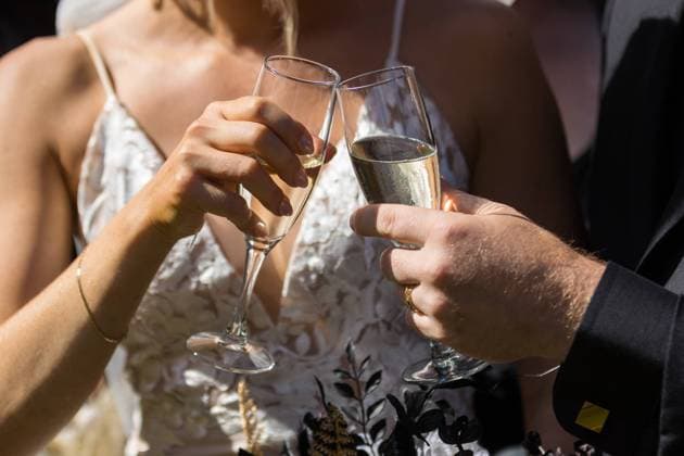 Newlyweds toasting champagne in celebration of wedding day Vancouver, British Columbia, Canada R_LJRI230825-1223740-01 EDITORIAL USE ONLY