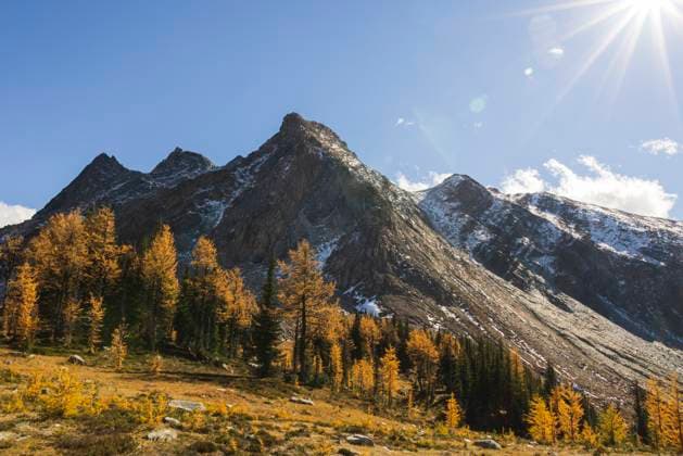 IMAGO Creative: Herbst, Lichtimpressionen Jumbo Pass in Fall, British Columbia Canada Invermere, British Columbia, Canada R_SHKO230824E-1238927-01