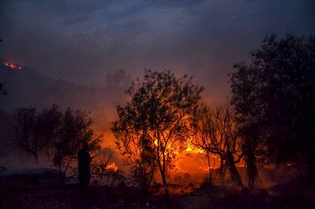 Bilder des Jahres 2023, News 08 August News Themen der Woche KW35 News Bilder des Tages Tunesien, Wald- und Buschbrände in Mont Nahli nei Tunis August 28, 2023: Tunis, Tunisia, 28 August 2023. A fire at a forest at the hills of Mont Nahli, north of Tunis, which broke out on Monday. Several fires have affected Tunisia in the summer where temperatures have often reached 50 degrees Celsius - ZUMAd99_ 20230828_zap_d99_004 Copyright: xHasanxMradx