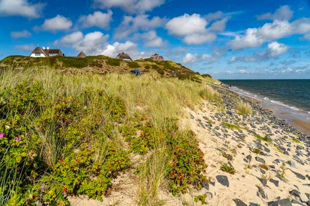 Sylt Ost Strand an der Ostküste bei List, Insel Sylt, Kreis Nordfriesland, Schleswig-Holstein, Deutschland, Europa The east coast beach in List, Sylt island, district of North Friesland, Schleswig-Holstein, Germany, Europe *** Sylt East beach on the east coast near List, Sylt island, district of North Friesland, Schleswig Holstein, Germany, Europe The east coast beach in List, Sylt island, district of North Friesland, Schleswig Holstein, Germany, Europe
