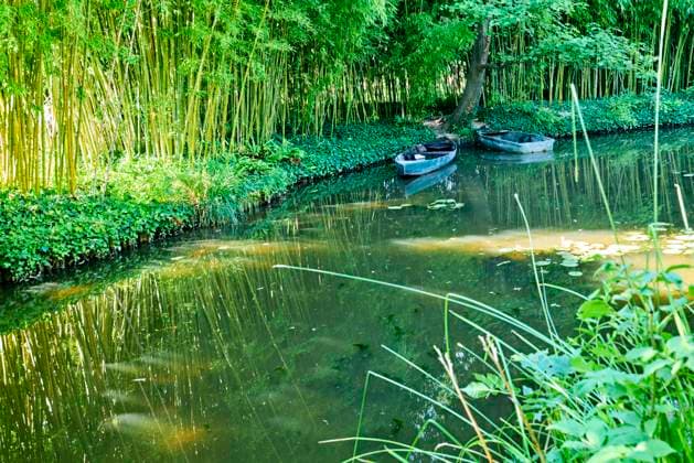 Giverny Normandy France. The house of Monet. Water lilies in Claude Monet s garden Giverny Normandy France. The house of Monet. Water lilies in Claude Monet s garden Copyright: xZoonar.com MarcoxBriviox 19413945