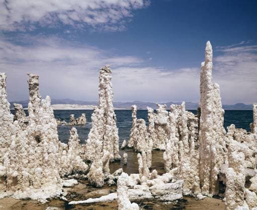 Mono Lake California Salt Deposits Mono Lake California Salt Deposits, Credit:GENE AHRENS Avalon  Copyright: xGENExAHRENSx xAvalonx 0503526975