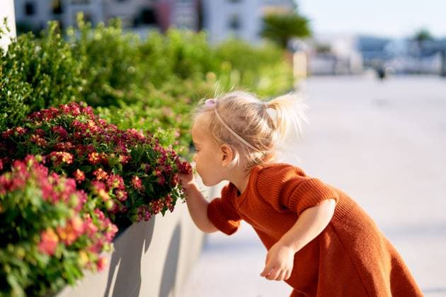 Creative Highlights Symbolfotos Little girl is smelling red flowers in a park on a sunny day Little girl is smelling red flowers in a park on a sunny day. High quality photo ,model released, Symbolfoto Copyright: xZoonar.com NadtochiyxVladimirx 17045818 ,model released, Symbolfoto ,property released