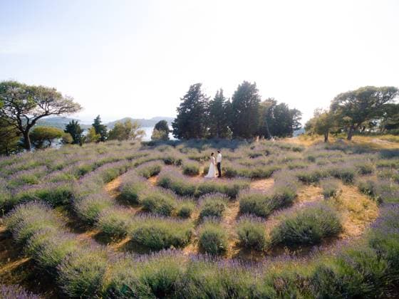 Sibenik, Croatia - 05.06.17: Bride and groom hold hands, standing in the center of the lavender maze field against the background of trees. Croatia Bride and groom hold hands, standing in the center of the lavender maze field against the background of trees. Croatia. High quality photo ,model released, Symbolfoto Copyright: xZoonar.com VolodymyrxNadtochiix 17802093 ,model released, Symbolfoto ,property released