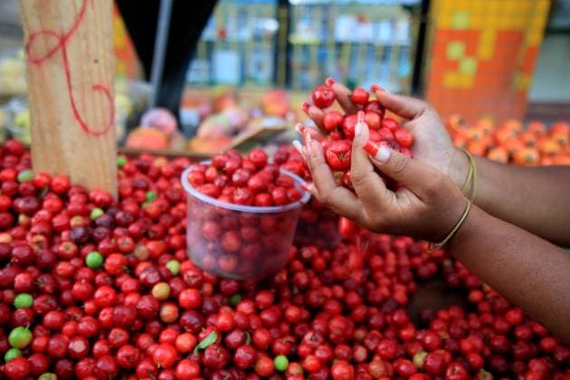 street fruit sale in salvador salvador, bahia, brazil december 2, 2020: acerola fruit for sale at a street fruit market in the city of Salvador. SALVADOR bahia brazil Copyright: xJoaxSouzax 021220JOA17F