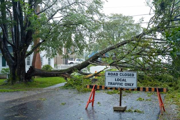 September 16, 2023, Yarmouth, NS, Canada: A downed tree hangs on power lines as post-tropical storm Lee approaches in Yarmouth, N.S. on Saturday, Sept. 16, 2023. Yarmouth Canada  - ZUMAc35_ 20230916_zaf_c35_041 Copyright: xBillxCurryx