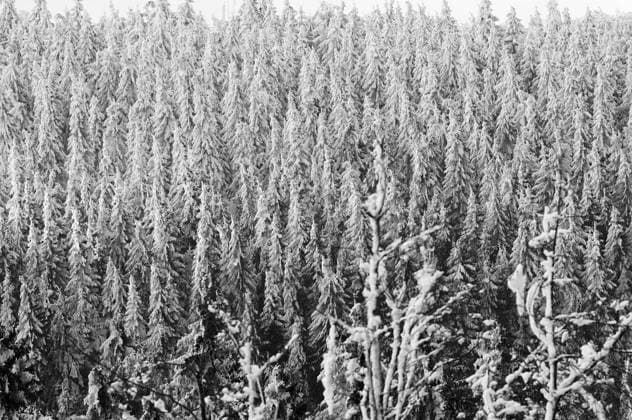 Winter impressions in the Sauerland, Winter impressions in the Sauerland, 11.01.2015, Copyright: xchrisnoehx Panthermedia13361048.jpg 