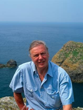 Sir David Attenborough on cliffs of Skom.......... Sir David Attenborough on cliffs of Skomer Island National Nature Reserve Pemrokeshire Coast National Park Wales UK, Credit:David Woodfall Avalon  Copyright: xDavidxWoodfallx xAvalonx 0511508959