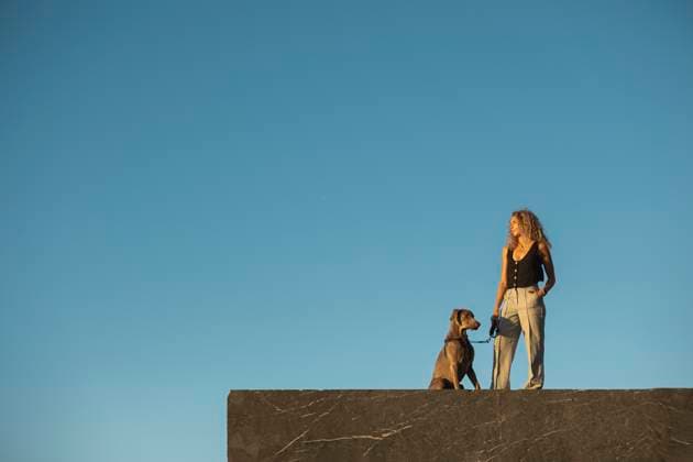 Creative Highlights Symbolbilder Young woman standing with dog on wall model released, Symbolfoto property released, MTBF01281