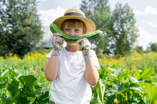 Boy wearing hat holding zucchini in garden model released, Symbolfoto, VBUF00360