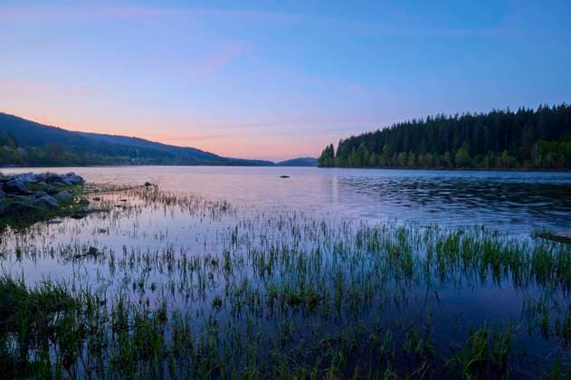  See, Wald, Dämmerung, Wolkenlos, Morgen, Frühling, Schluchsee, Schwarzwald, Baden-Württemberg, Deutschland, Europa *** Lake, Forest, Twilight, Cloudless, Tomorrow, Spring, Schluchsee, Black Forest, Bathing Württemberg, Germany, Europe Copyright: imageBROKER/RaimundxLinke ibxrde09654007.jpg