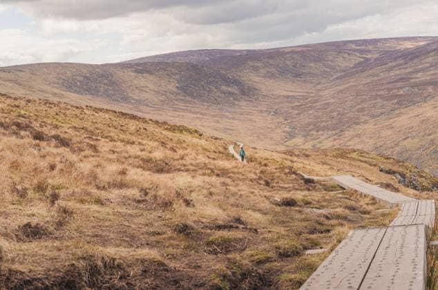 Hiker Woman Explores Wooden Path in Wicklow s Beauty mountain Wicklow, County Wicklow, Ireland CR_SIIZ230918-1252309-01 ,model released, Symbolfoto