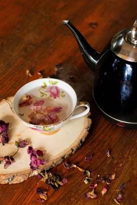 Vintage teacup and teapot; loose rose leaves elegantly scattered. Bloomington, Indiana, United States R_QGNV230919-1254109-01