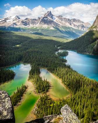 Creative Highlights World Opabin Pleateau near Lake O Hara, Yoho National Park Field, British Columbia, Canada R_SHKO230918-1255958-01