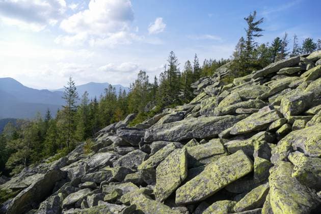 Creative Highlights World IVANO-FRANKIVSK REGION, UKRAINE - SEPTEMBER 23, 2023 - Gorgany is a mountain range in the Ukrainian Carpathians, Ivano-Frankivsk Region, western Ukraine. Gorgany mountain range in Ivano-Frankivsk Region  Copyright: xYuriixRylchukx