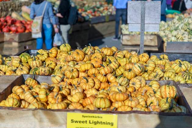 Kürbis Saison 2023 Deutschland, Brandenburg am 24.09.2023: Verschiedene Kürbisse der Sorte Sweet Lightning liegen in der Auslage auf einem Markt. *** Pumpkin season 2023 Germany, Brandenburg on 24 09 2023 Various pumpkins of the variety Sweet Lightning lie in the display at a market