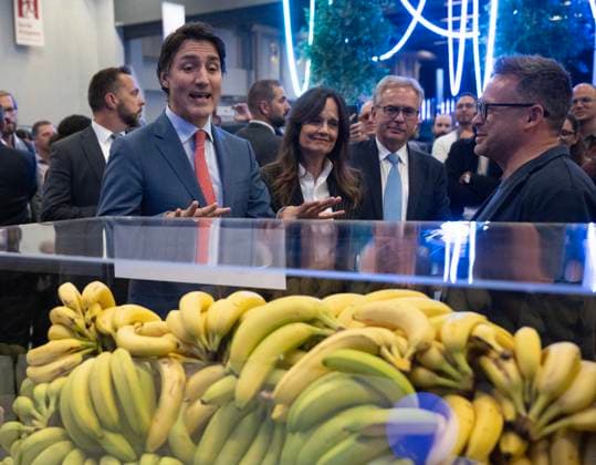 September 28, 2023, Montreal, PQ, Canada: Prime Minister Justin Trudeau looks at a display of bananas from a company that uses AI to control inventories of perishable goods at the All In artificial intelligence conference Thursday, September 28, 2023 in Montreal. Montreal Canada  - ZUMAc35_ 20230928_zaf_c35_081 Copyright: xRyanxRemiorzx