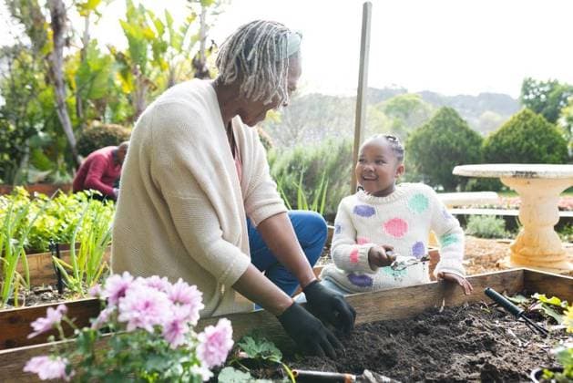 Creative Highlights Symbolbilder Happy african american grandmother and granddaughter planting plants in sunny garden Happy african american grandmother and granddaughter planting plants in sunny garden. Family, togetherness, nature, gardening and lifestyle, unaltered., model released, , property released, Cape Town, South Africa, 07.09.2023, 4187575.jpg, people,happy,african american,grandmother,granddaughter,planting,plant,sunny,garden,family,togetherness,nature,gardening,lifestyle,unaltered,summer,beautiful,green,natural,spring,young,leaf,outdoor,flower,beauty,flora,tree,fun,park,season,happiness,landscape,blossom,person,african,american Child,Girl,Female,Black,Senior,Elderly,Woman,Man,Male,Multiracial