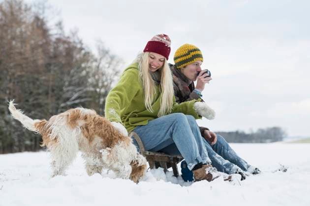 Young couple sitting on Sledge with dog in snowy landscape during winter, Bavaria, Germany Germany CR_EDDR160117-02061-01 ,model released, Symbolfoto ,property released