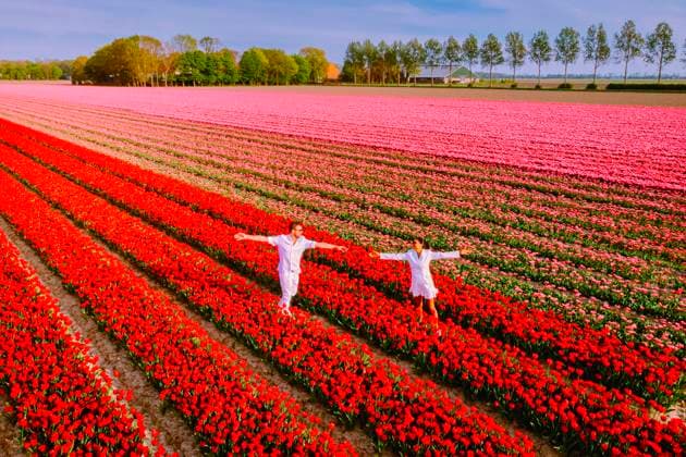 Creative Highlights Symbolbilder couple men and woman in flower tulip field in the Netherlands during Spring couple of men and woman in a flower field in the Netherlands during Spring, orange red tulips field near Noordoostpolder Flevoland Netherlands, men and woman in Spring evening sun, flowers ,model released, Symbolfoto Copyright: xZoonar.com FokkexBaarssenx 20502439 ,model released, Symbolfoto ,property released