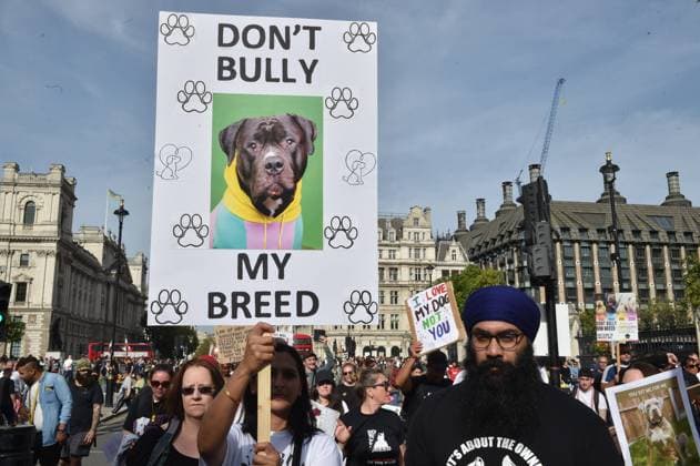October 7, 2023, London, England, United Kingdom: Owners of American XL Bully dogs take to the streets of Westminster to voice their opposition to Rishi Sunak s proposed ban on this breed. London United Kingdom - ZUMAk172 20231007_zip_k172_032 Copyright: xThomasxKrychx