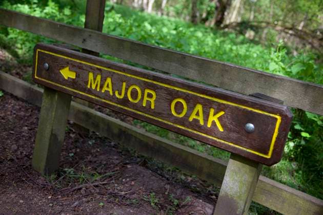 UK, England, Nottinghamshire, Edwinstowe.......... UK, England, Nottinghamshire, Edwinstowe, The Major Oak sign, Credit:Frank Fell Avalon England  Copyright: xFrankxFellx xAvalonx 0517948745