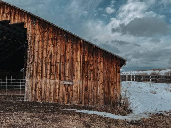 Historic rustic barn set against a snowy Montana landscape Wilsall, Montana, United States R_BAEK231005-1254625-01