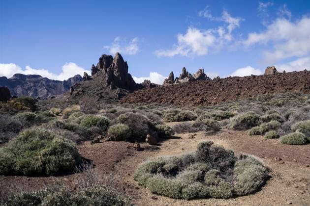 RECORD DATE NOT STATED Canary Islands, Tenerife: Teide National Park Spain, Canary Islands, Tenerife: Los Roques de Garcia in the Teide National Park Europe; Western Europe; Spain  Copyright: xBenardxE Andia.frx 414084
