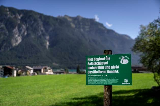 Pertisau: Weidefläche statt Hundeklo. Mit einer ernsten, aber freundlich vorgetragenen Mahnung wehren sich Tiroler Bauern in Pertisau am Achensee (Österreich) gegen die Zweckentfremdung ihrer Weideflächen. Hier beginnt die Salatschüssel meiner Kuh und nicht das Klo Ihres Hundes , heißt es auf einem Schild am Zugang zu einer Almwiese im Ort. Pertisau ist starl vom Tourismus geprägt. Pertisau Tirol Österreich *** Pertisau pasture instead of dog toilet With a serious, but friendly warning Tyrolean farmers in Pertisau at Achensee Austria defend themselves against the misappropriation of their pasture areas Here begins the salad bowl of my cow and not the toilet of your dog , it says on a sign at the entrance to an alpine meadow in the