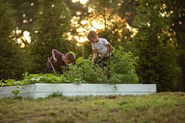 IMAGO Creative: Sommer, Sommertage im Garten Two boys tending to garden boxes, bathed in the glow of sunset United States, Connecticut, Southington CR_ASOG231010-1263438-01 ,model released, Symbolfoto