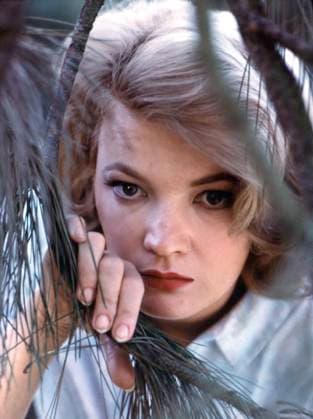 Film The Spiral Road Actress Gena Rowlands in a scene of the film Paramaribo Suriname  Copyright: xLeoxFuchsx 0543 Gena Rowlands (The Spiral Road) HEAD TREE CLOSE UP PORTRAIT