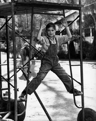 Film To Kill A Mockingbird Actor John Megna plays at the set of the film Monroeville, Alabama USA  Copyright: xLeoxFuchsx 1084 Phillip Alford jem on scaffolding (To Kill a Mockingbird)