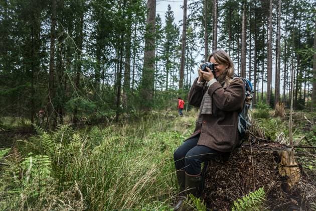 Photographer Sitting In The Forest Shooting Photos In Denmark Denmark, Hareskovby CR_EMWIXA231011-1266588-01 ,model released, Symbolfoto