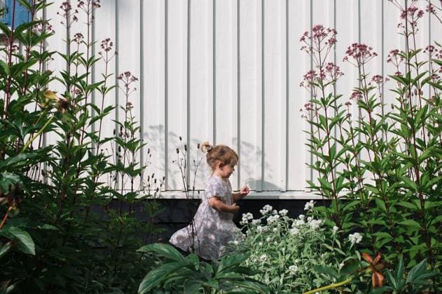 small girl happily walking through flowers on a sunny day Stockholm, Stockholm County, Sweden CR_RABE231011-1262022-01 ,model released, Symbolfoto