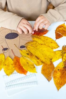 7 October 2023: Children s fun with autumn leaves: creative crafts at home. A child makes a lion from leaves and cardboard in the living room *** Kinderspaß mit Herbstlaub: Kreatives Basteln zu Hause. Ein Kind bastelt einen Löwen aus Blättern und Pappe im Wohnzimmer