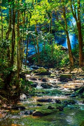 Creative Highlights World Dichte Regenwaldvegetation, die vom Fluss durchquert wird, mit dem Wasserfall im Hintergrund hinter den Bäumen in Minas Gerais, Brasilien, Südamerika *** Density Rainforest vegetation, the from River crosses will, with the Waterfall at Background behind the Trees in Minas Gerais, Brazil, South America Copyright: imageBROKER/FredxPinheiro ibxcpi09738449.jpg
