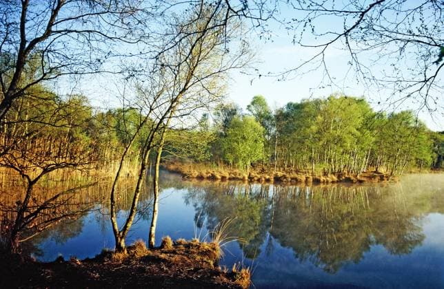 Creative Highlights World Königsmoor, Naturschutzgebiet, Moormerland, Ostfriesland, Deutschland, Europa *** Kings Marsh, Nature reserve, Moormerland, East Frisia, Germany, Europe Copyright: imageBROKER/WernerxWulf ibxwwu09745030.jpg