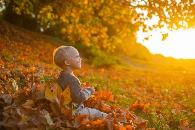 Pretty little boy relax on beauty autumn landscape background. Fun walking in the autumnal park. Lifestyle capture. Rural cozy scene. Happy baby boy having fun playing with fallen leaves in autumn park, model released, , 40088464.jpg, autumnal, autumn day, autumn season, fall leaves, fall background, fall outside, autumn, autumn leafs, fall, leaves, baby, child, kid, outdoor, yellow, colorful, season, copy space, people, sunny, good weather, seasons, garden, orange, face, autumn leaves, fashion, day, autumn colors, nature, sun, autumnvibes, sunset, falling, holiday, leaf, light, smile, happy, cute, adorable, childhood, lawn, cover, leaf cover, leisure, lifestyle, little, carefree, infant RECORD DATE NOT STATED