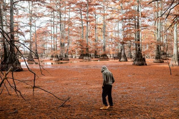 IMAGO Creative, Jahreszeit Herbst, Ferien Creative Highlights Symbolbilder Boy exploring around Cypress trees at lake during autumn day Olive Branch, Illinois, United States CR_WEKW2310215D-1271523-01 ,model released, Symbolfoto