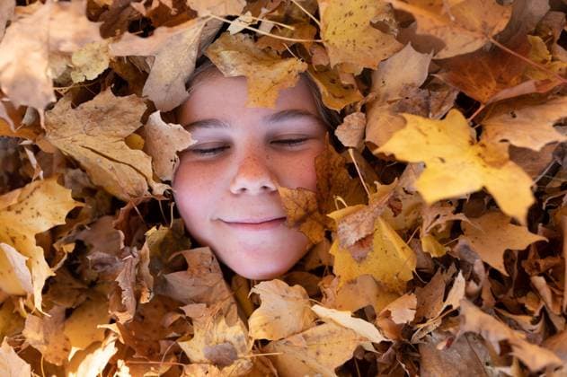 Creative Highlights Symbolbilder Portrait of tween with eyes closed buried in yellow autumn leaves Traverse City, Michigan, United States CR_LICE231021-1237416-01 ,model released, Symbolfoto