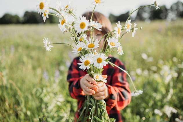 Boy hiding face with bunch of flowers in field model released, Symbolfoto, ANAF01558