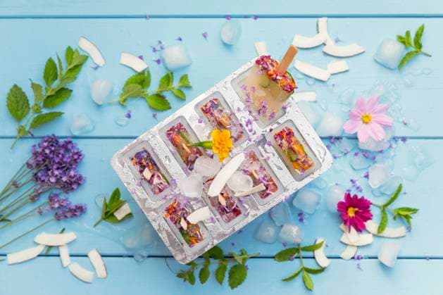 Homemade lemonade ice pops with herbs, edible flowers and coconut flakes, GWF07842