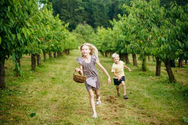 IMAGO Creative: Sommer, Sommertage im Garten Blond girl holding wicker basket and running with brother in garden model released, Symbolfoto, NJAF00467
